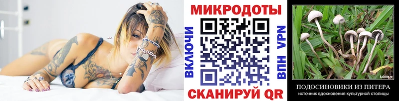 Галлюциногенные грибы Magic Shrooms  Бугуруслан 