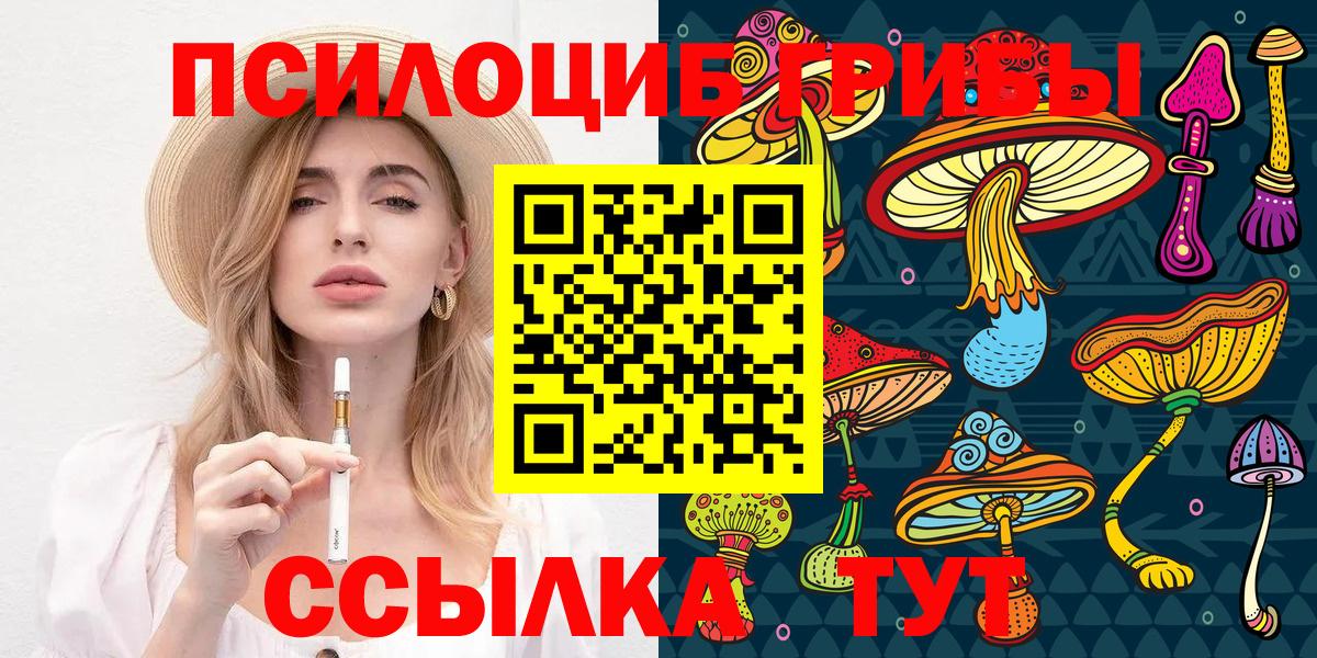 Галлюциногенные грибы мицелий  Вход с VPN  Бугуруслан  Псилоцибиновые грибы Psilocybe 