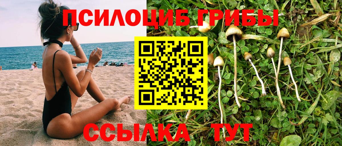 Галлюциногенные грибы Psilocybine cubensis Бугуруслан